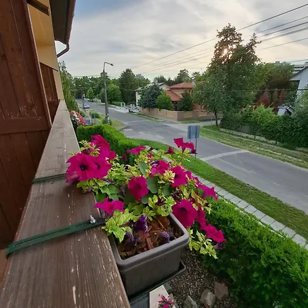 Kincso Vendeghaz By Newave Siófok