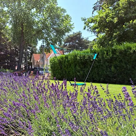 Kincso Vendeghaz By Newave Gasthuis Siófok